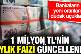 1-milyon-tlnin-aylik-faizi-guncellendi-bankalarin-yeni-oranlari-dudak-ucuklatti-Aabjpf52.jpg