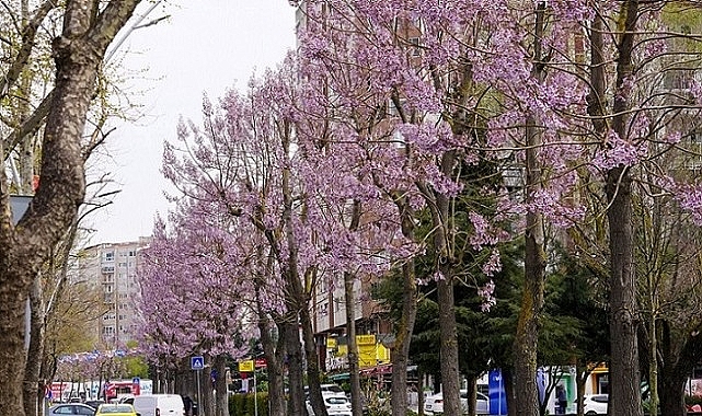 beylikduzunde-bahar-mesaisi-basladi-YMKicJFc.jpg