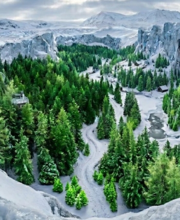 donmus-ulkenin-gizli-ormani-buzlarin-arasindaki-yesil-dunya-gorenleri-sasirtiyor-thyGIIfF.jpg