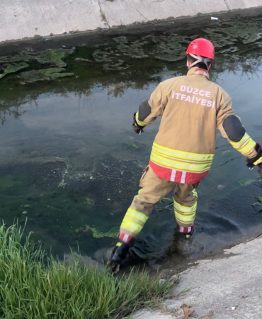 duzcede-itfaiye-ekipleri-kanaldan-cikardiklari-2-kedi-yavrusunu-kalp-masajiyla-kurtardi-uSCszvbW.jpg
