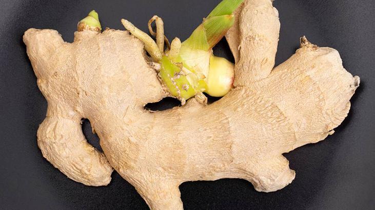 Filizlenen zencefil bozulmuş mu olur? Pişirerek tüketmek en iyisiymiş