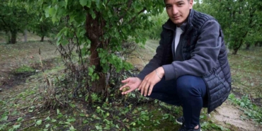 hatayda-dolu-zarari-kayisi-bahceleri-etkilendi-8k41qGtS.jpg