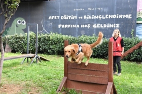 Kadıköy Belediyesi 4 Sertifikalı Arama Köpeği Olan Tek İlçe