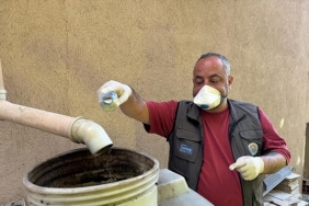 Maltepe’de sivrisinek çabası erken başladı