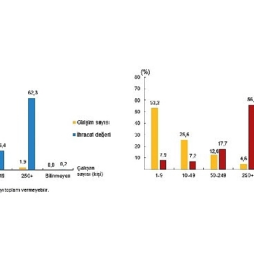 tesebbus-ozelliklerine-nazaran-memleketler-arasi-hizmet-ticareti-istatistikleri-2024-JhnQUiLL.jpg