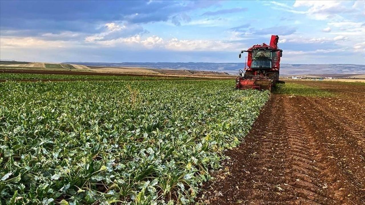 250 bin kişiye iş kapısı! Bakan Yumaklı tarımda “yeni çağı” resmen duyurdu