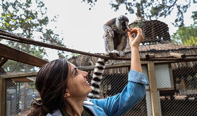 Antalya Doğal Hayat Parkı’nda yavru lemur sevinci