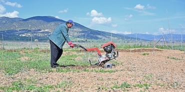 buyuksehir-ipek-bocegi-yetistiriciligini-yayginlastiriyor-hh4JabYZ.jpg
