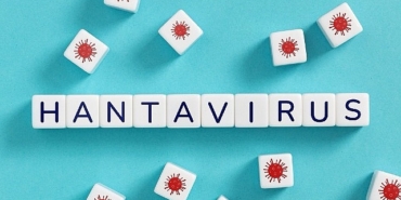 hantavirusun-beserden-besere-yayilim-riski-dusuk-9zMsUZRN.jpg