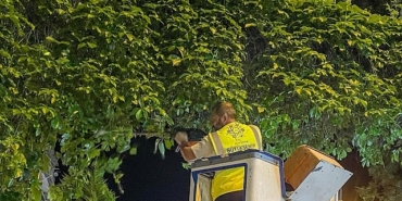 lider-cercioglu-aydinimiz-icin-gece-gunduz-calismaya-devam-ediyoruz-d8yAGNen.jpg