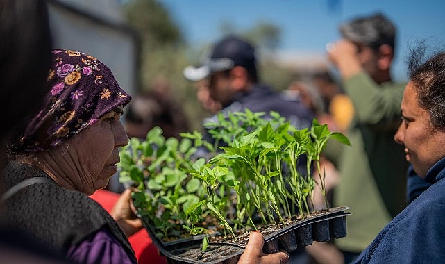 Milas Belediyesi’nden Üreticilere Fide Dayanağı