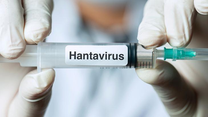 Üç ölüm sonrası gözler hantavirüste! Salgın riski var mı?