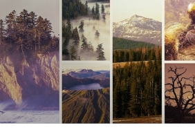 ulusal-parklar-amerika-ozel-3-mayis-pazar-saat-2000de-national-geographic-wild-ekranlarinda-izleyicilerle-g2wwzkts.jpg